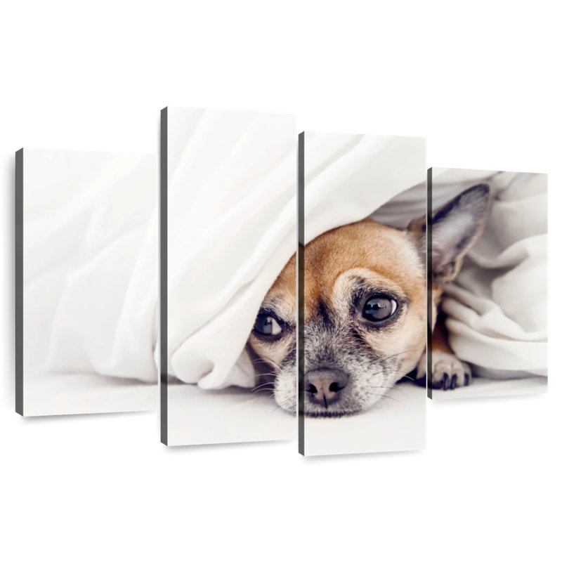 Brampt Despondent Chihuahua Dog