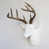 White/Bronze