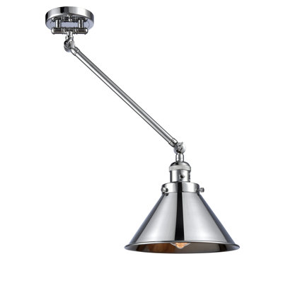 Paylor Swing Arm Sconce