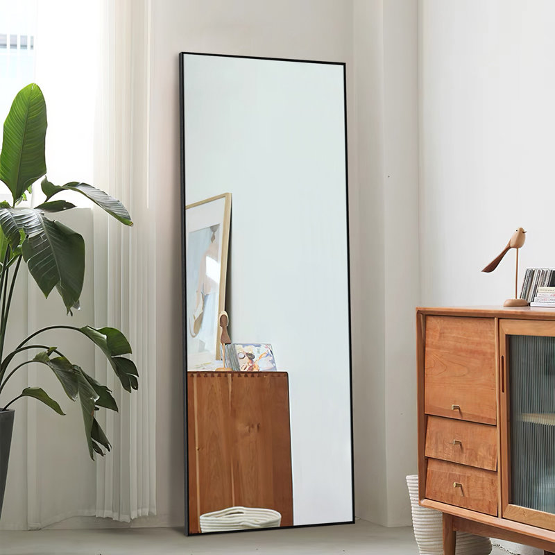 Miroir de salle de bain mural Talma, H 65 po x l 22 po, Noir
