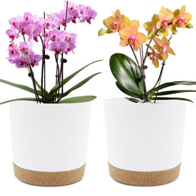 2 Pack Planters with Drainage Holes and Sauce