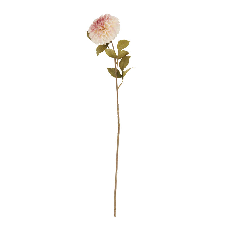 Ensemble de 12 fleurs Dalium