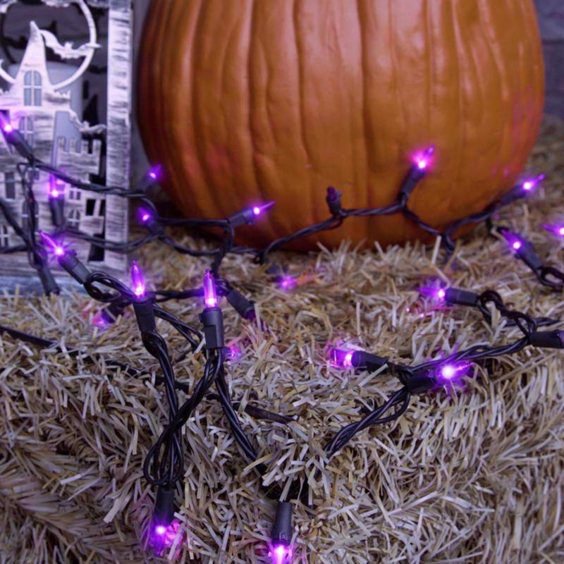  Purple 100 ct LED Mini Halloween String Lights, 7.6" H x 297" W x 6.1" D, Purple