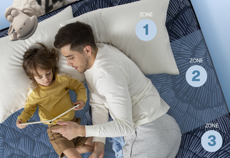 Collection Serta Perfect Sleeper