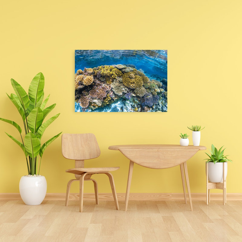 Impression murale Panoreef Ocean Tropical, H 24 po x l 36 po