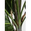 190Cm Artificial Bird of Paradise Plant in Pot