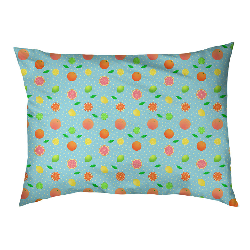 Coussin pour chien agrume fruit Byrge, Très grand (l 52 po x H 42 po x P 17 po), Bleu sarcelle