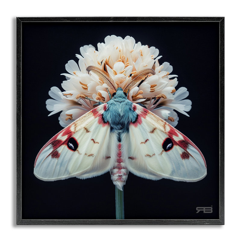 Papillon de nuit et fleurs blanches, estampe numérique par Roozbeh Bahramali, Estampe numérique Farmhouse, H 24 po x l 24 po