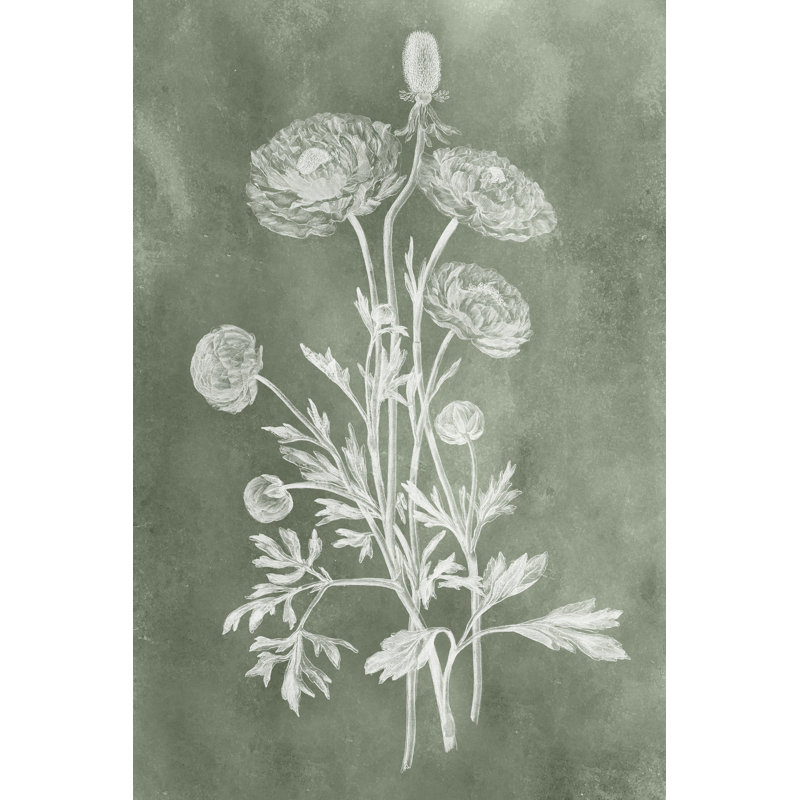 «Sage Impressions I» par Vision Studio - impression, H 30 po x l 20 po, Toile tendue, Non