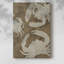 Woodgrain Crustaceans I -Gallery Wrapped Cavas-258267047