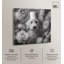 Impression sur toile Goldendoodle-129616569-129616577