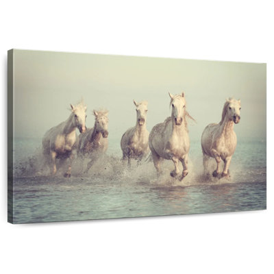 Brampt Camargue White Horses