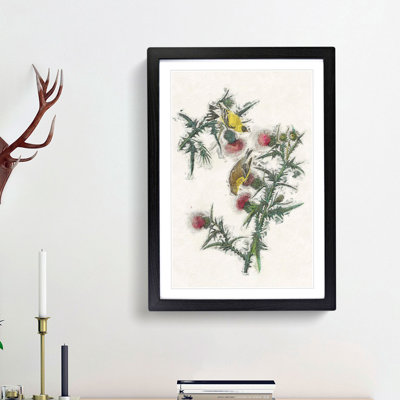 American Goldfinch Birds by John Audubon - Single Picture Frame Painting