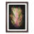 Walnut Framed selected