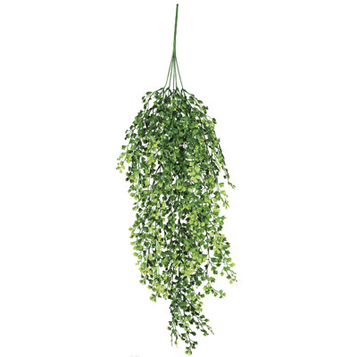 Sullivan's Set of 3 Maiden Hair Fern Vine, Green Faux Floral Stem , 30 Inch