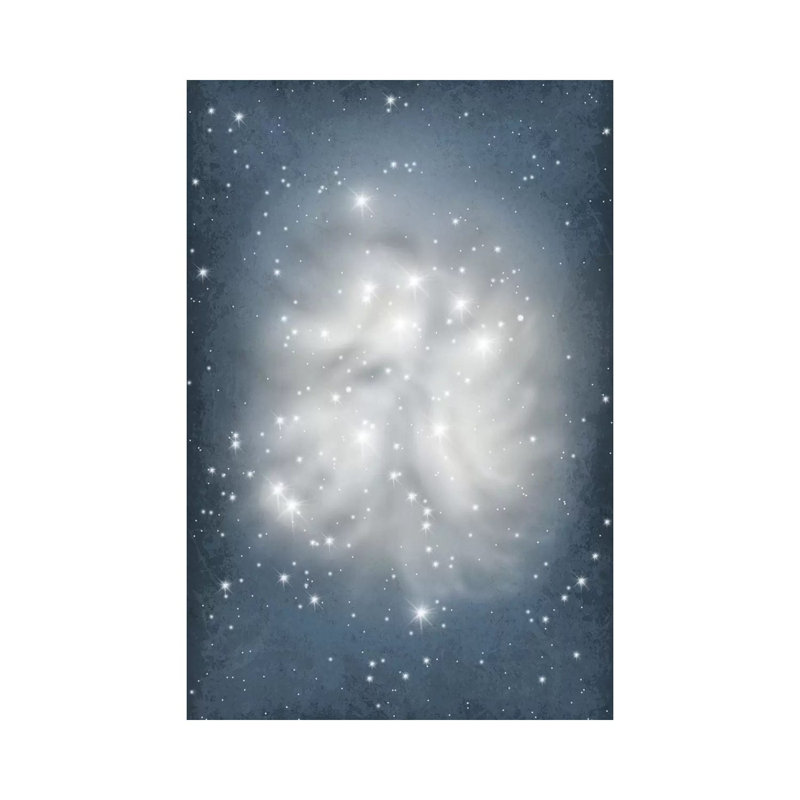 Burgundy Bloom I - Wrapped Canvas Print, 20.32 cm H x 30.48 cm W