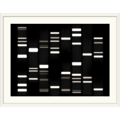 «ADN Art» par Francy, impression en blanc et noir