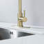 Robinet de cuisine avec douchette extractible-119337354