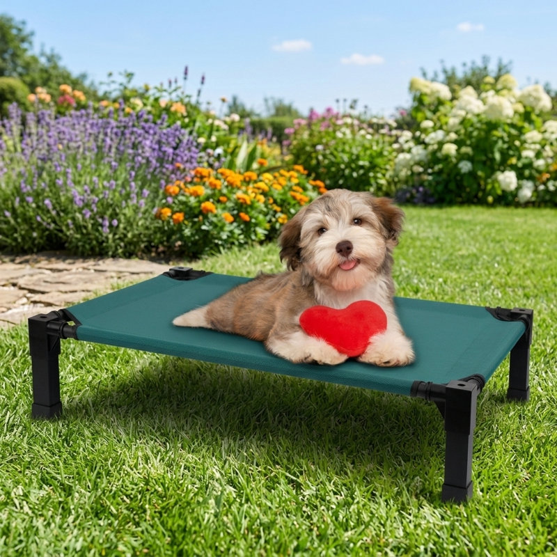 Lit pour chien Cooling Elevated, H 7,4 po x l 35,2 po x P 25 po, Vert