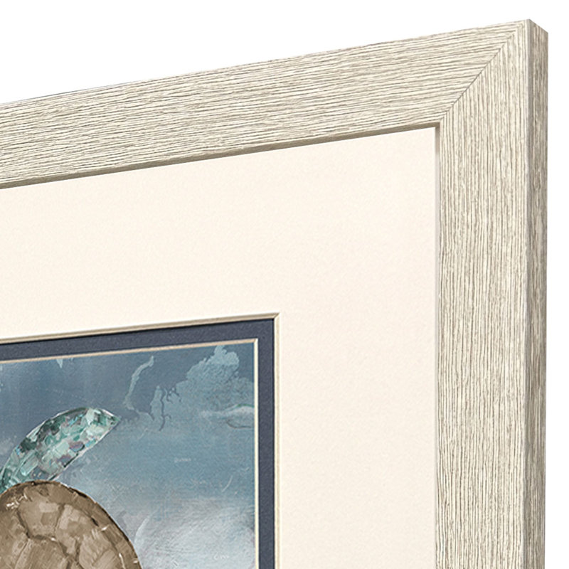 Tortue itinérante, art encadré
