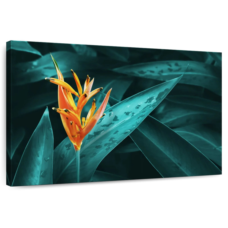 Harnek Orange Heliconia