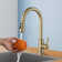 Pull Down Single Handle Kitchen Faucet with Accessories