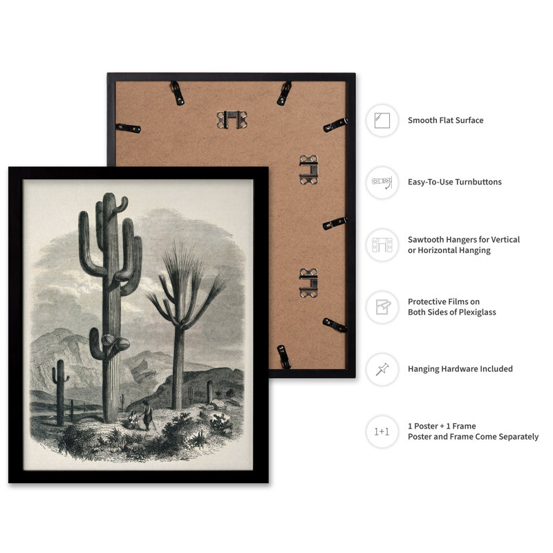 Cactacées de la limite, Black Framed, Poster, 18"H x 24"W