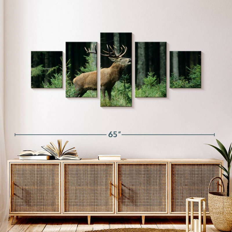 Elk Bugle, H 24 po x l 55 po