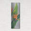 Art mural en métal luxueux, «Bird of Paradise Triptych III» par Tim O'Toole, 16 po x 48 po