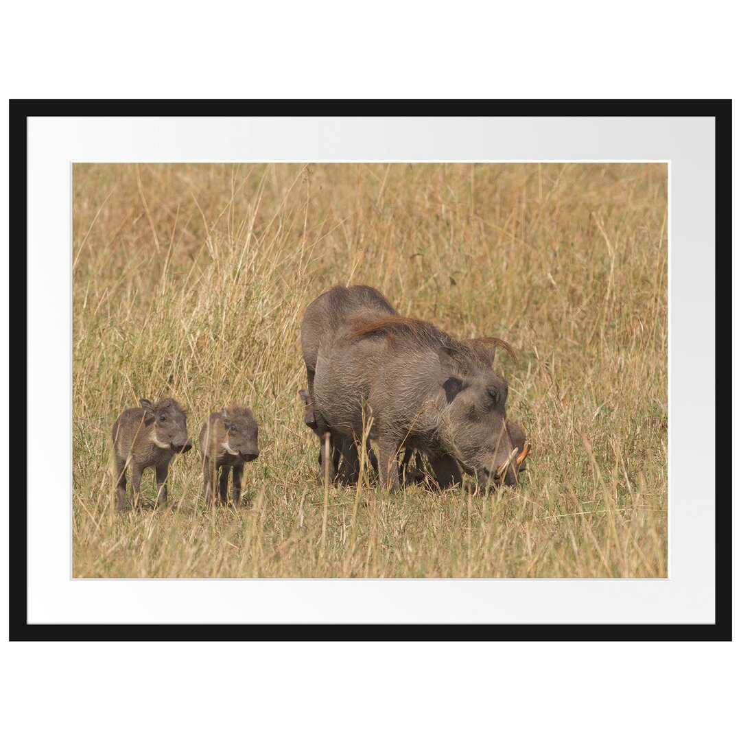 Gerahmtes Poster Warzenschweinfamilie Savanne