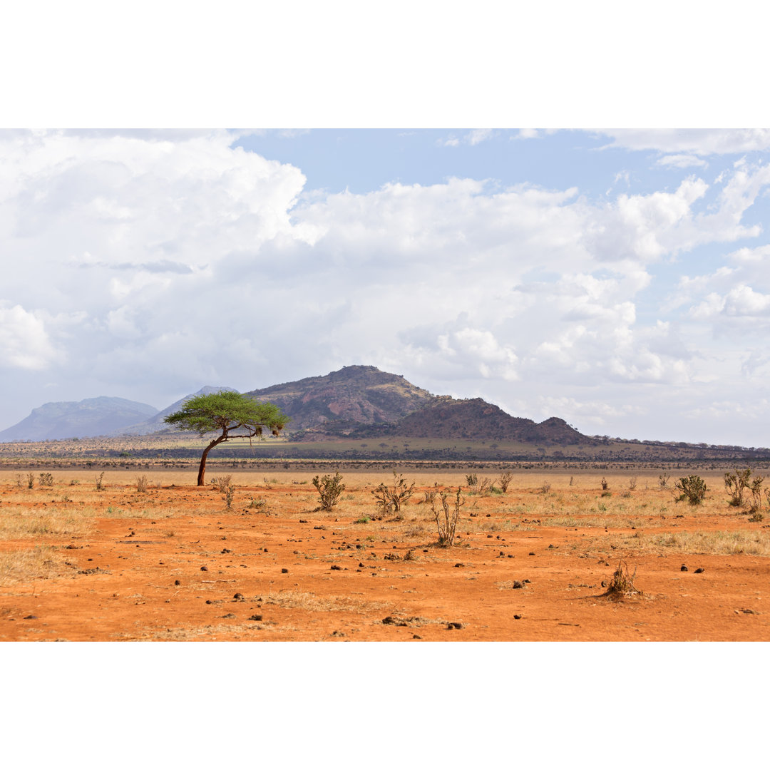 Leinwandbild African Savanna