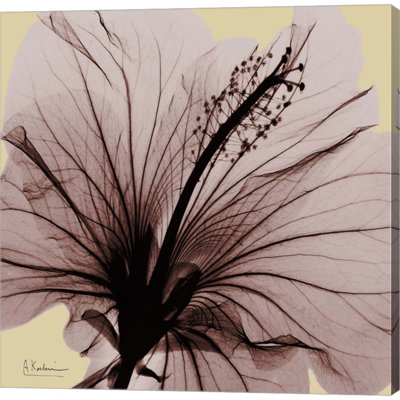 Décoration murale hibiscus