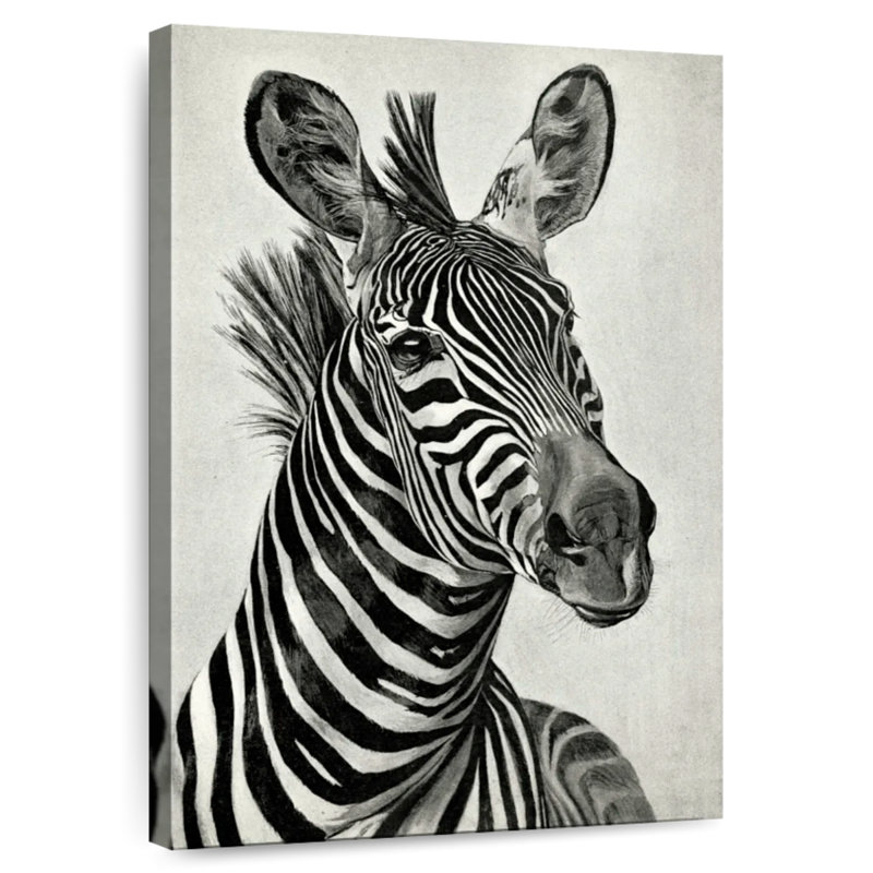 Illustration de zèbre Brampt rétro, H 45 po x l 30 po