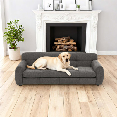 51 Inch Dark Gray Dog Sofa, Comfortable Pet Lounge For Dogs