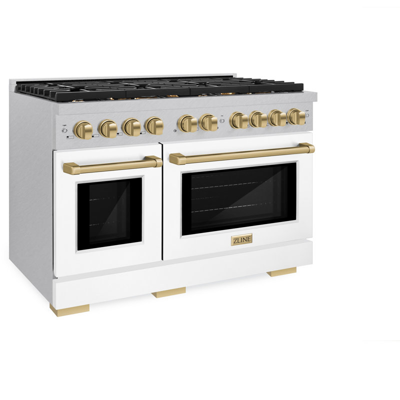 ZLINE Autograph 48 in. Paramount Dual Fuel Satin Steel Range w/ Accents