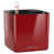 Scarlet Red