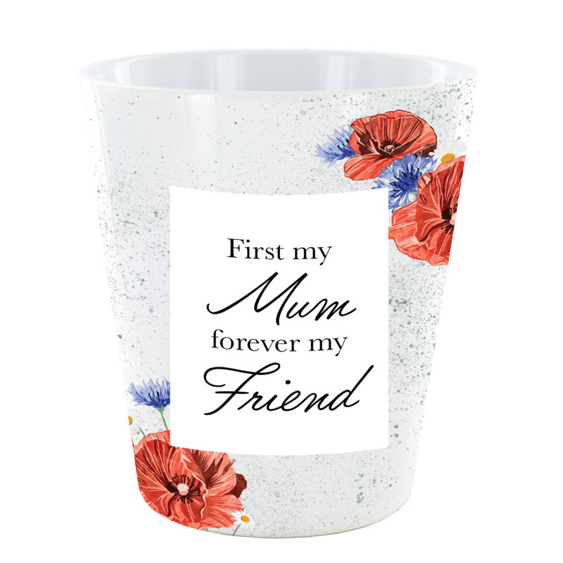 Ceramic Pot Planter