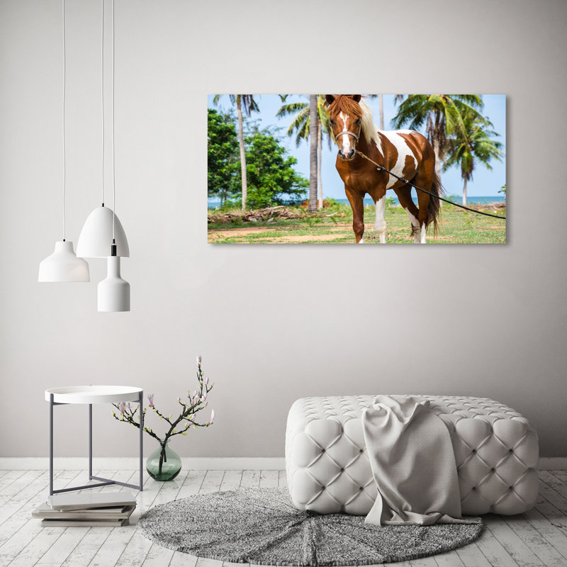 Pinto Horse - Wrapped Canvas Print