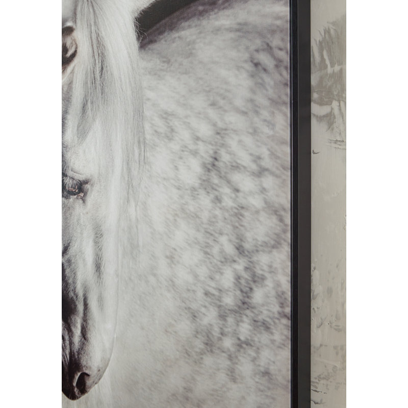 Elegant Black and White Equine Canvas Wall Art, 40 x 50 Inches