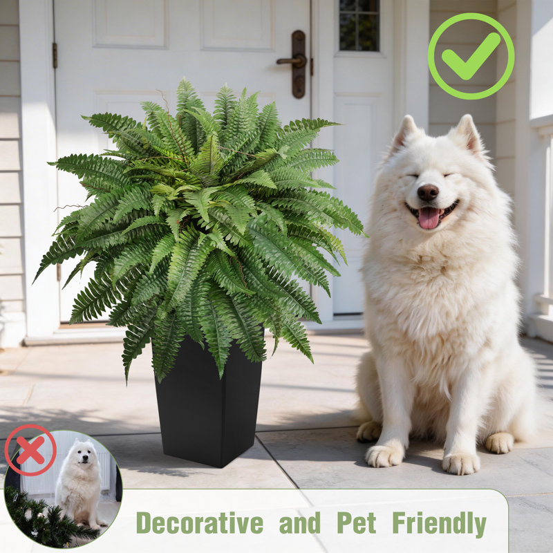 Artificial Boston Fern Plants, Large Fake Plants Outdoor 2 Pack Plastic Evergreen Shrubs for Front Door Garden Indoor Home Decor