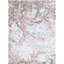Neo Villa Floral Area Rug-63321477