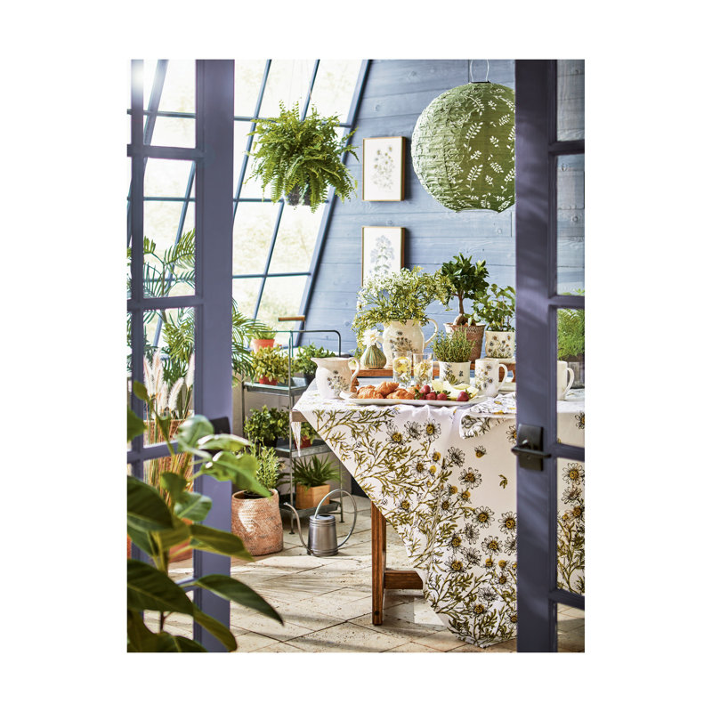 Chamomile Pitcher