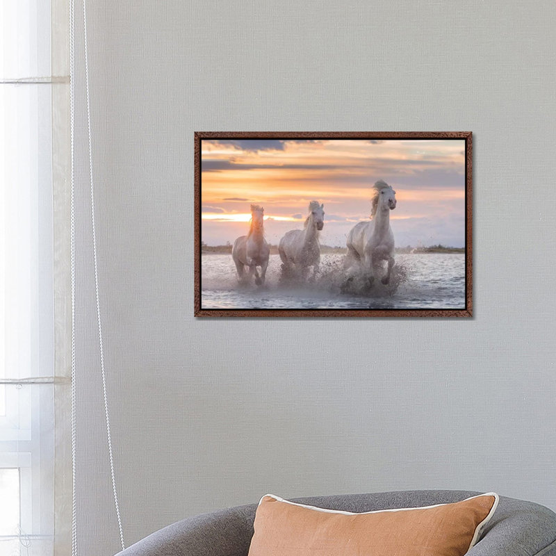 White Angels Of Camargue XXXII by Daniel Kordan - Print on Canvas, 66.04 cm H x 45.72 cm W, Classic Brown Wood Framed