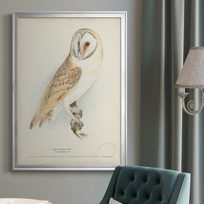 Toile encadrée de qualité supérieure Barn Owl - prête à être accrochée