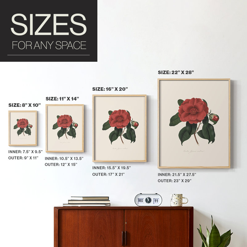 Impression florale vintage encadrée CXC III - bois massif, Naturel, H 21 po x l 17 po