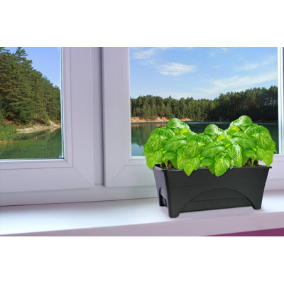 Pot à fleurs surélevé en plastique Fentress