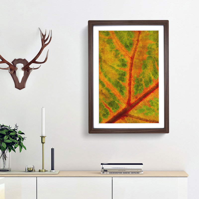 Map of a Leaf - Picture Frame Painting Print, 45cm H x 33cm W x 2cm D, Walnut Framed