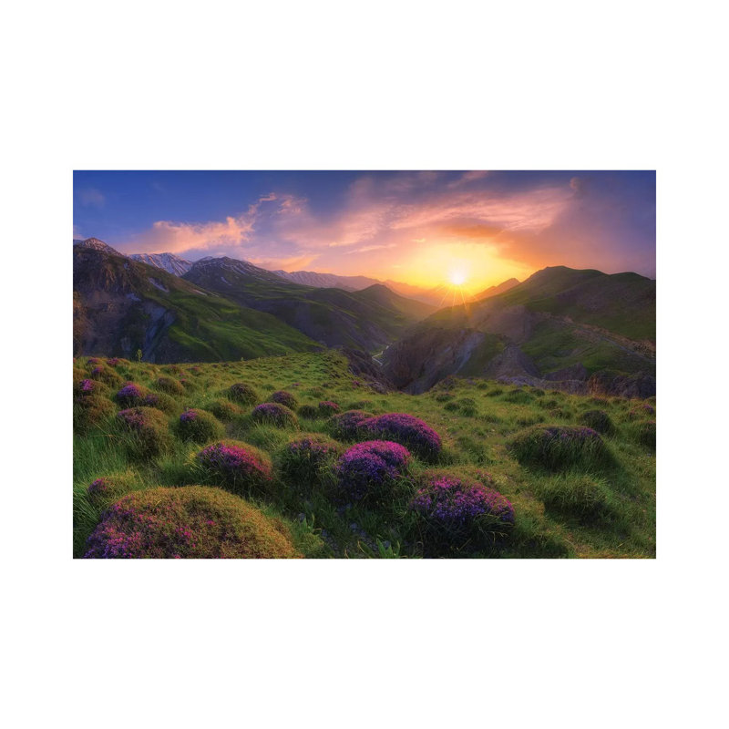 Spring In Show by Saeed Younesi - Wrapped Canvas Gallery-Wrapped Canvas Giclée, 20.32 cm H x 30.48 cm W