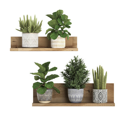 Plante verte autocollants muraux 3D Bonsai plante tropicale autocollant créatif vinyle autocollant amovible pour décoration de salon chambre bureau à domicile