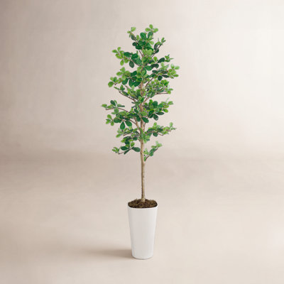 74" Eucalyptus Plant in Pot